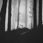 Falling_kingdom