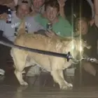 あ