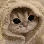 hhh