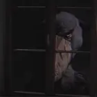 Warioplsj