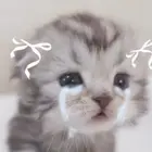 DaikiYui