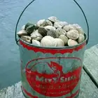 Clambucket