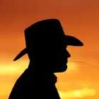 CottonEyedJoe