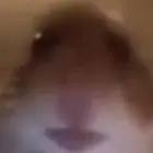 thememeagent