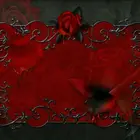 LadyNaiperJokette