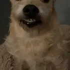 Alex_477462