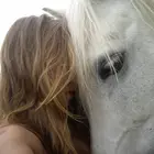 sexstar