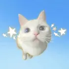 mrrly