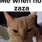 Zeeroo