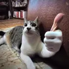lunaxdXDxDXd