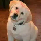 Mateo009