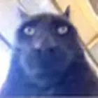 PyeGamingYT