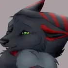 KaiOkami