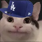 Mrkitkatbarz