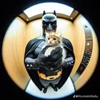 Sun_The_Cartoonist
