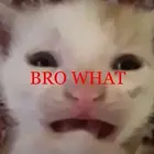 screamsandexplodes