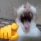MoriMaxamus