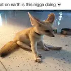 Cookiecutter23
