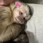 Hot_Banananana