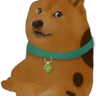 starvingstray