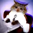 Cat_Has_Keyboard