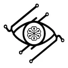 squiggly_tradition_7946