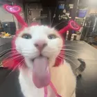 funtimepowder