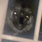 sleepy_industry_3449