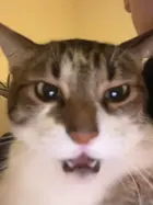 6c049977-a3b1-4334-9b58-76ec6429960b