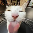 15e952fa-be62-4f84-8e9e-8d0698525f7f