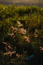 5d718b40-6e25-4233-8783-d54cb5a2f78b