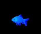 d2243b9f-6ad2-439b-ae17-93e9f9474b00