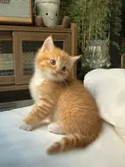 2c9f6983-8e76-4456-8b13-6a7474659fb3