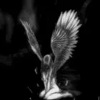 03b5827d-4f8e-4351-a63e-cdf78f9c302e