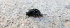 f2983071-a8cb-4cbe-8217-4abc07aab93a