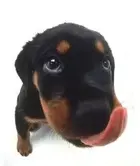 03a7fbfd-93ec-4cdb-9b98-82007e6f749e