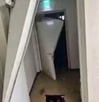 291e401d-b694-47cb-a5a6-8df9ee7f1755