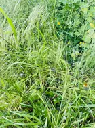 b8ae0cc0-fc03-4b3a-9cf8-799f22ae6c26