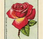 a85040ab-0410-4b1e-acbe-b081c7524776