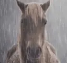 94a7d507-ae20-4204-9e02-60d1e8212e99