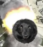 3cfd7db4-e284-4c6b-9ffa-424823cd5240