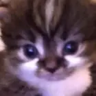 f809fa04-1b77-454b-b1cb-47cc918c7f36