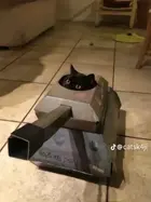 1d49c886-47e8-4310-9707-aea8468eb0f5