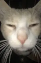 f6b174f3-eb6b-4780-b89f-bcce55f5cb03