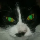 0d0b01a0-6e24-4d8d-9660-f9acec254966