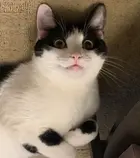 7f4b9781-a817-429f-8057-1fb0e06ed14a