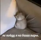 13a2d136-9adb-4816-b901-1275c69dc8a5