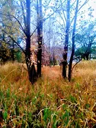 277f4f04-a631-4456-b43a-b8944db441e1