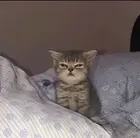 1718508e-e5b1-4ed3-89a2-30a3c0143dae