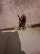 8a8c68da-4198-40d6-9211-1aa79c648920